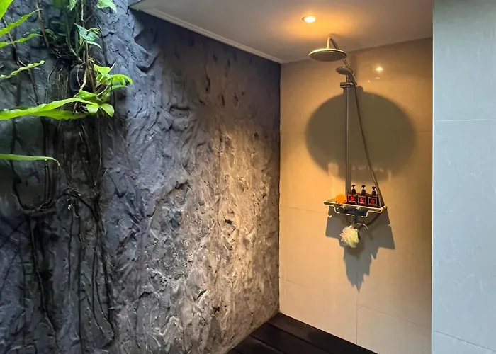Badra House Hibiscus
